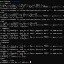 270-4006 | Codegate 2022 Junior 예선 Write up + 후기