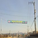 빵빵수산 | 남당항맛집 또또또간집 또오리회수산 새조개 쭈꾸미 먹방후기