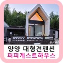 퍼피게스트하우스 | 양양 대형견펜션. 반려견 수영장과 운동장 있는 퍼피게스트하우스 솔직후기