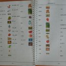 톡소리영어학원