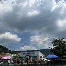 GR(칠곡군)-[석적로]-하-2 | 대구 동물 있는 카페 칠곡동물체험카페 왜관
