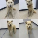 웅곡길 티스토리