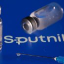 보란파마 이미지