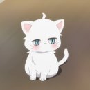 모모상사 이미지