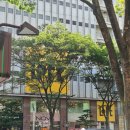 (주)에코도시락 | 나고야 쇼핑리스트 로프트 면세 추천템 구매 후기