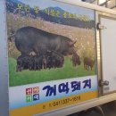 꺼먹돼지
