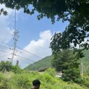 몽샤우 | 계곡여행 추천 평창 몽샤우 펜션