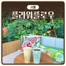 [서울] 마곡 카페 ‘플라워플로우’ | 내돈내산 | 식물원 숲 감성 신상 카페 솔직후기
