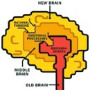 신경 언어 프로그래밍 Neuro Linguistic Programing (NLP) 이미지