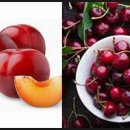 룰루 휘트니스 이미지