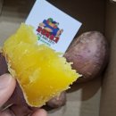 🍊 찐한귤 입고❗ 🍓금실딸기 🍅대추방울/완숙 🍒 생체리 🍇 애플청포도 🍎 부사 사과 🍊 레드향 🥝 골드키위 🫐 블루베리 이미지