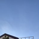 애월숲에201 이미지