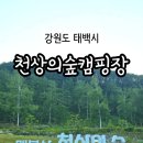 천상의 노을 | 태백, 도립 캠핑장 개장! A동 B동 미니멀 사이트 명당,전망,시설 총정리!! 매봉산 천상의 숲