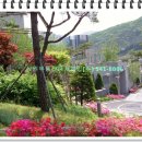 상원부동산중개 이미지