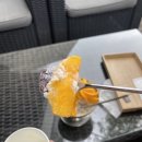 카밍테이블 | 파주 애플망고 빙수 대존맛 카페 카밍 후기