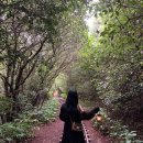 서우목장 이미지