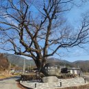 설옥1구 이미지