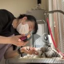 살롱드도만 이미지