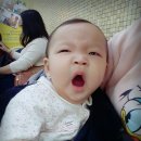 홍진희소아청소년과의원 이미지