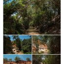 정일농장 2농장 | <베트남여행/2주살기>친구랑베트남여행기 4탄