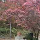 강천산종합관광안내소 이미지