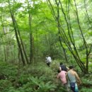 산장민박 이미지