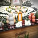 삼일병원 이미지