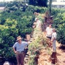 하례1리 이미지