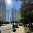 신방한라동백@ 1 이미지