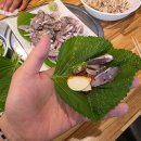 막회해산물투성이 | 영등포 문래 횟집 맛집 '막회 해산물 투성이' (n번째 방문 내돈내산 후기)