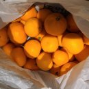 세광농장 이미지