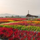 억새2축구장 이미지