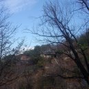 윤화자 Daum카페