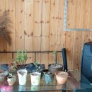 카페 개여울 이미지