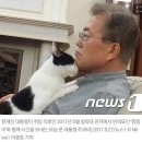 벌써 靑 5년차..文 반려동물 '토리'와 '찡찡이' 잘 있나요 이미지