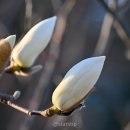신당 근린공원 네이버블로그