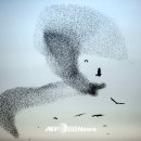 벌떼 - 강화군 강화대로393번길 6 | 벌떼