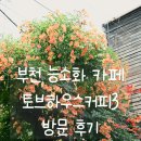 토브하우스커피3 | 나만 알고 싶은 부천 중동 카페, 주황빛 능소화 폭포와 커피가 있는 토브하우스커피3 방문 후기