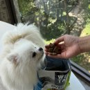 호키소프트 이미지