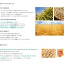 뉴비타민약국 이미지