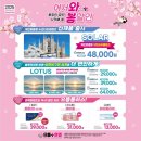 3층안경 이미지