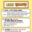 하나병원 | 임신 12주차 니프티검사 저렴한 병원 - 서초하나산부인과 비용, 초음파, 성별 확인 후기