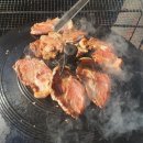 정희농박 이미지