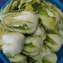 GS25 용인포곡점 이미지