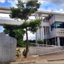 모산초등학교 Daum카페