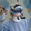 넬 동물의료센터 이미지