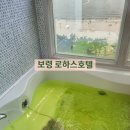 로하스모텔 | 대천해수욕장 숙소 로하스호텔 추천 (ft. 보령머드축제 &amp; 해수욕장 즐기기)