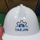 (주)태진산업