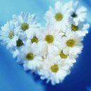 Untitled-0 이미지