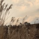 나비채 하우스 | 제주, 어디가 좋을까